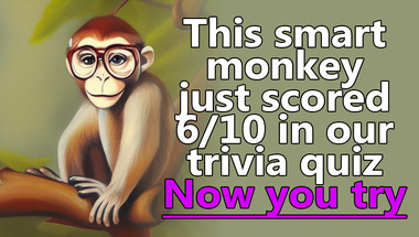 Trivia Quiz - Smarter than a monkey?