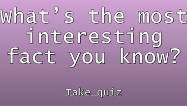 Quiz of general knowledge