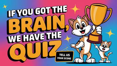 Trivia Quiz on Various Topics