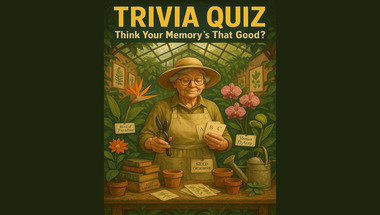 Trivia Quiz : Smart enough?