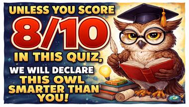 10-question challenge: Test your general knowledge